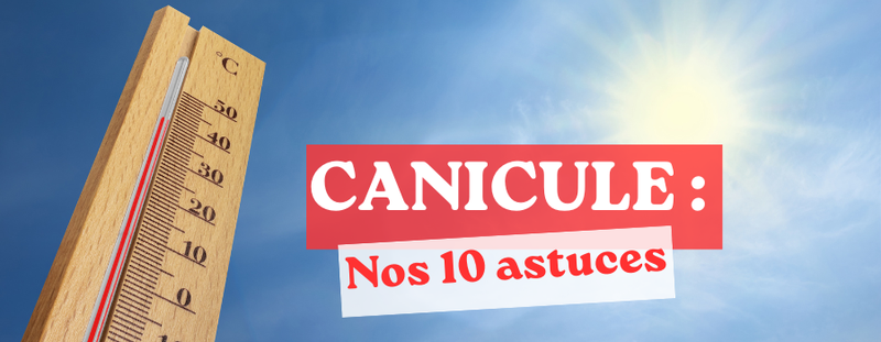 Canicule : 10 astuces simples pour mieux supporter les fortes chaleurs
