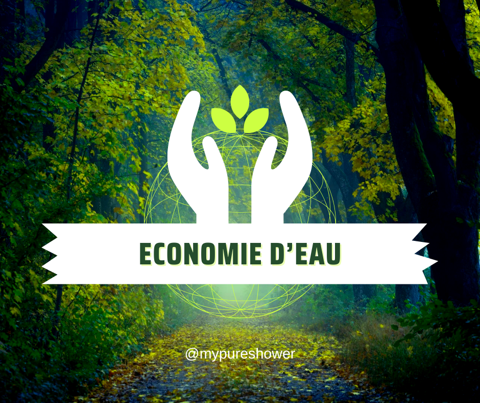 L'Impact Environnemental des Pommeaux de Douche Économes : Un Geste Éco-Responsablel